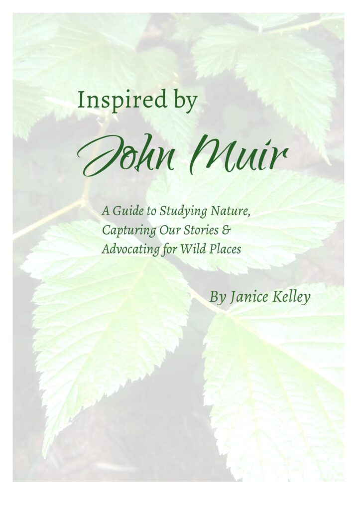 "Inspired By John Muir" is the personalized student reader/journal version of the teacher's guide. 
